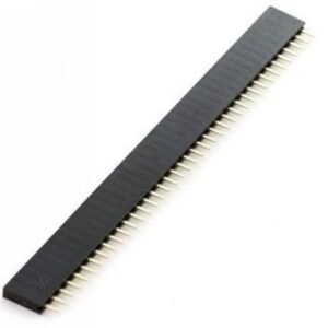 40 Pin Female Header
